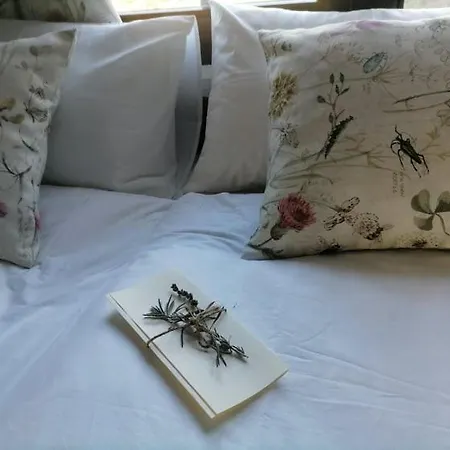 The Legends , Art & Forest וילה