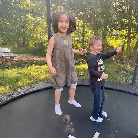 The Legends , Art & Forest *