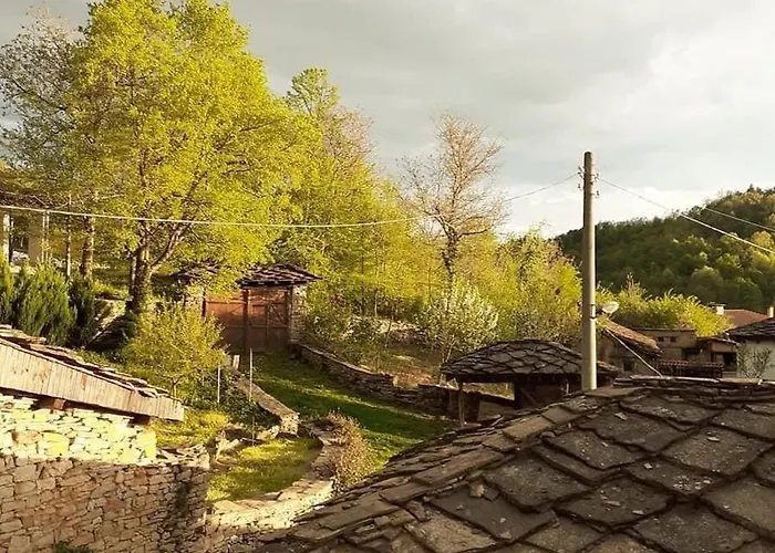 The Legends , Art & Forest فيلة *