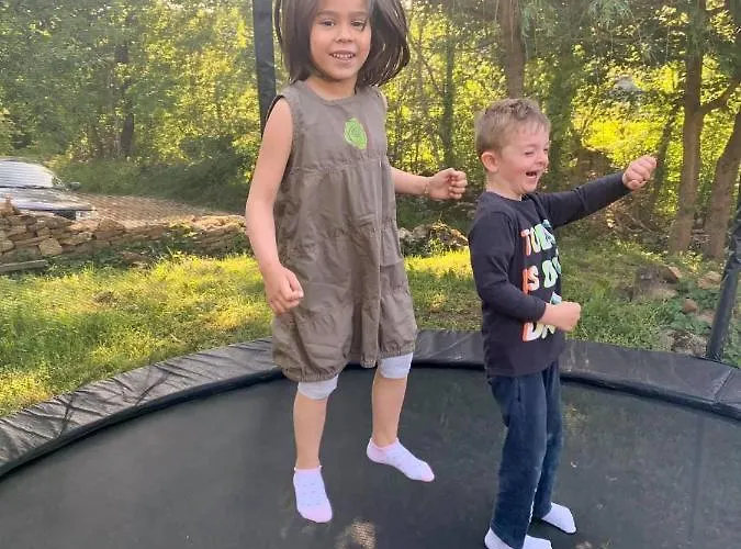 The Legends , Art & Forest *