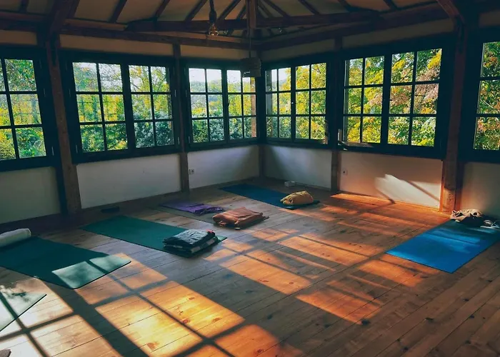 فيلة The Legends , Art & Forest *